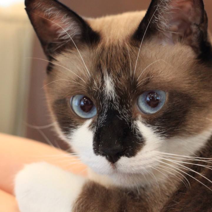 74ce9702 5795 4bcf a939 c20c85de32c1