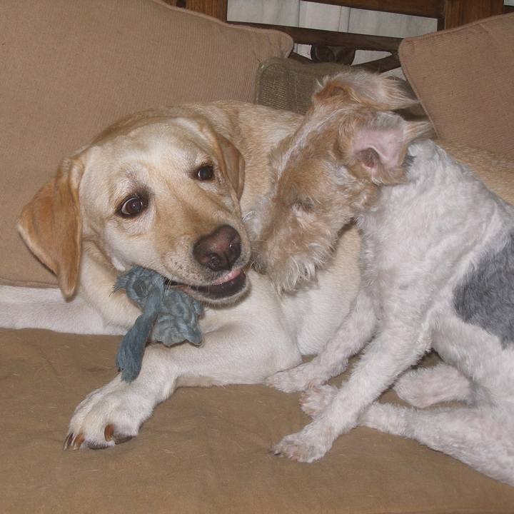 74cf0e88 f858 4913 a030 823a72a22d62