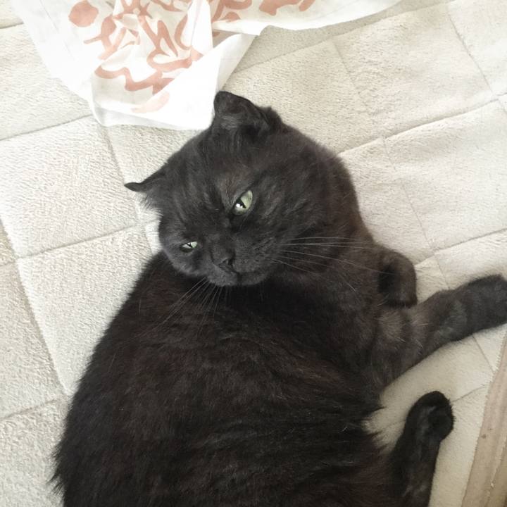 74cf1d79 c6f7 444b ac27 cd984bebaa0c