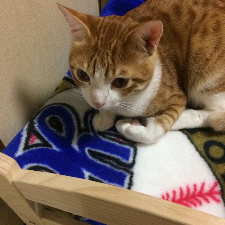 74cf622b b69e 4e2a b984 4c077667c8f8