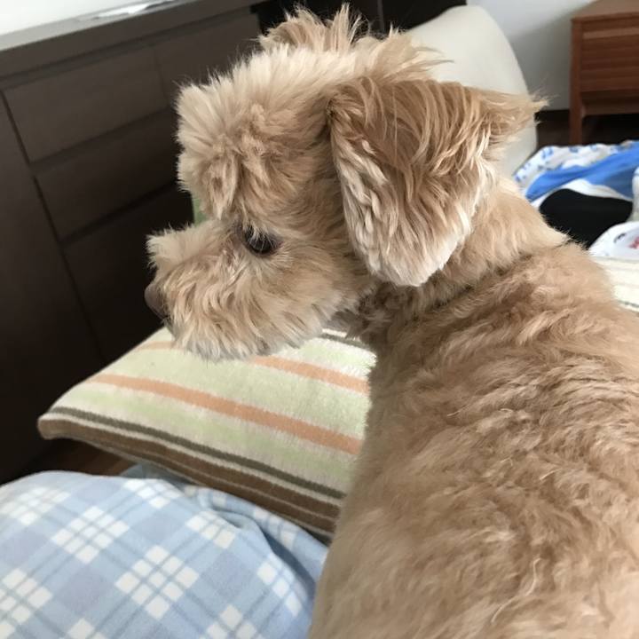 74d0de59 5930 415b bf65 669363cdfeda