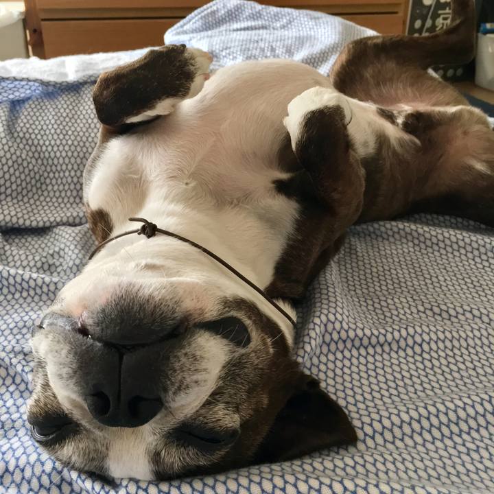 74d15c1e ffac 4441 b871 006af79dcbfe