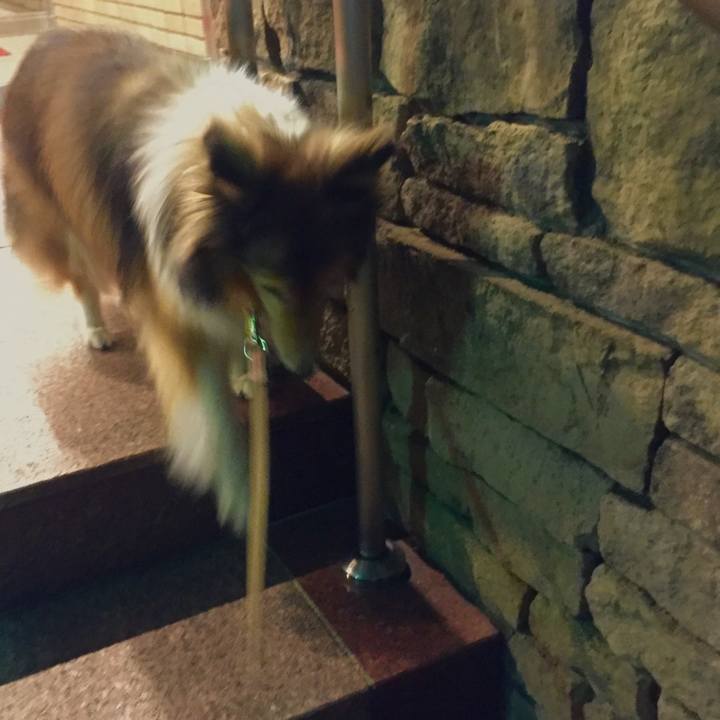 74d17640 a950 467c 91eb 064b5c323f8c