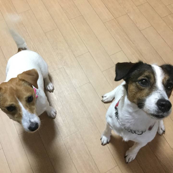 74d17a83 48d7 4249 b0ad 0b1173e9e272