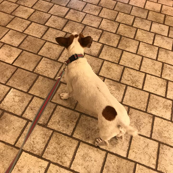 74d187a1 d6e3 4fd8 a001 40c93cb5fe0a