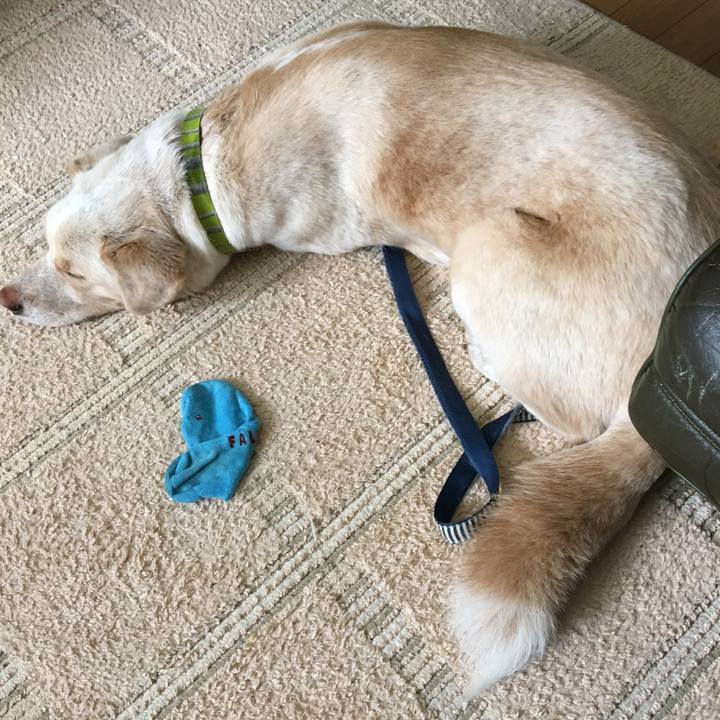 74d1b937 9381 4a61 8201 45329511daa9