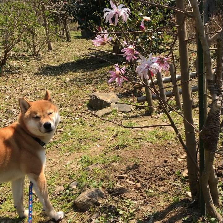 74d22db3 7fff 41b4 bc96 59aa88fb481e