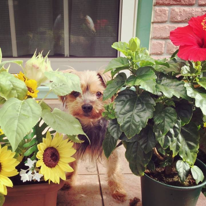 74d2b29d 9012 47a2 941d 4083e49c0e7c