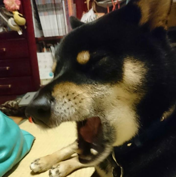 74d2b8c1 a99d 4e59 b8da edf203e29852