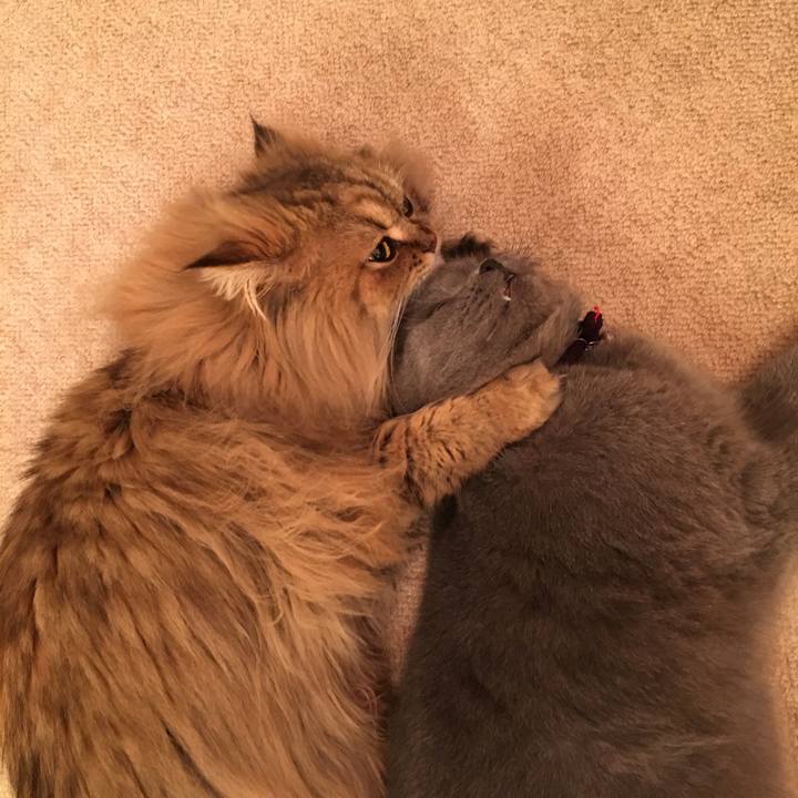 74d3185f 0372 4a15 8fba 266c73139b17