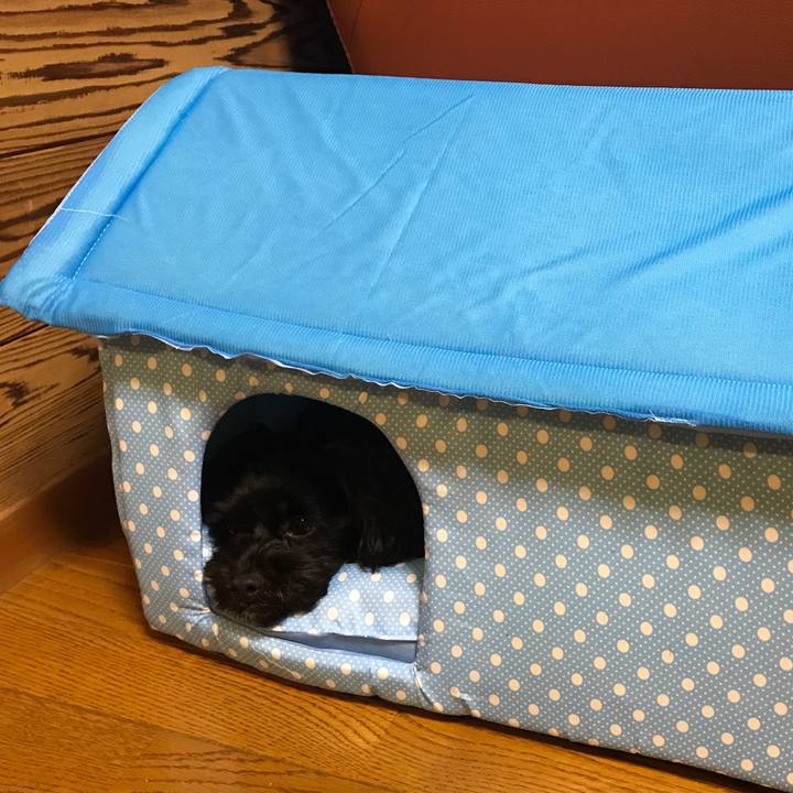 74d4c8b8 ee57 4441 92a6 4b1808b4573d