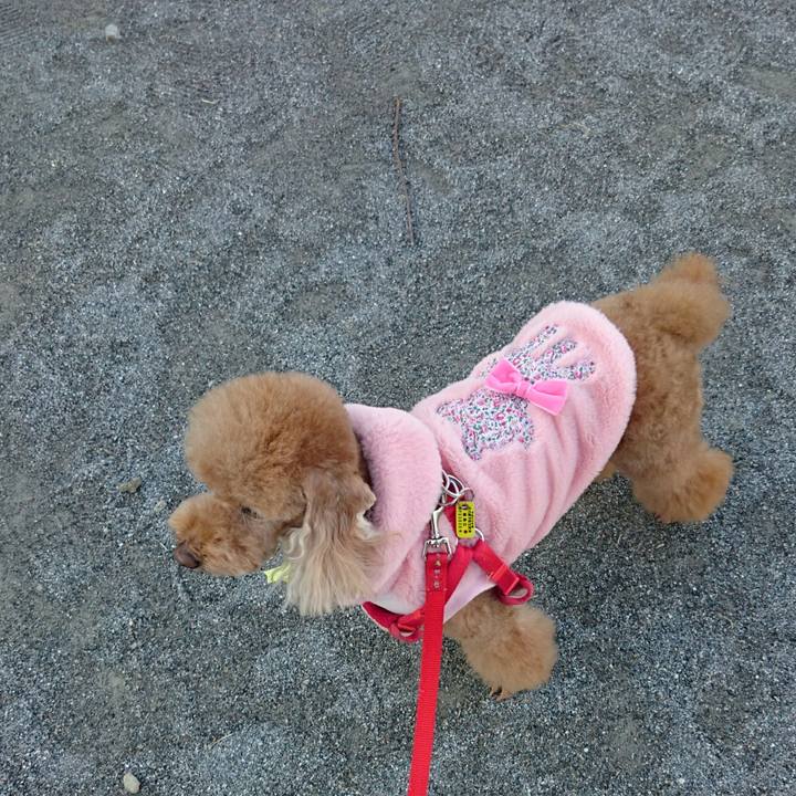 74d4fc1d 06e2 4ef7 aff4 bf7d94a66491