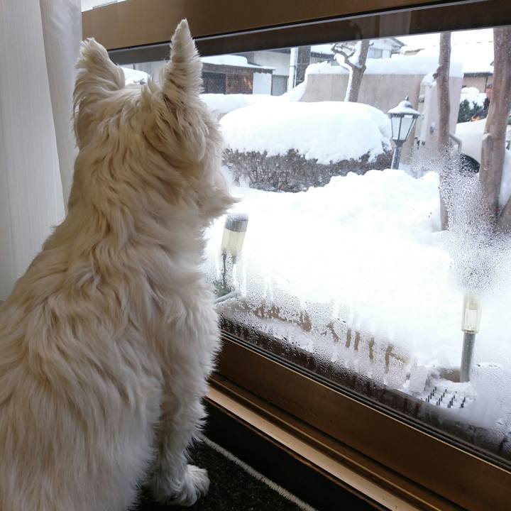 74d51c19 4da3 46e7 831d ed443966206e