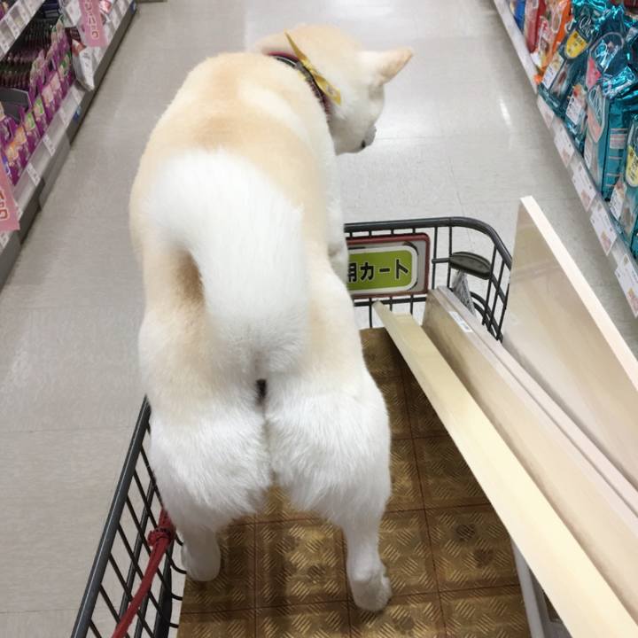 74d54758 5b6f 4f94 bc25 432bfcc6d931