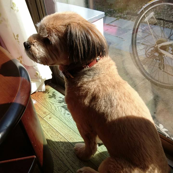 74d5ae6d ea67 4bf3 8bc1 96dcc15e71b4