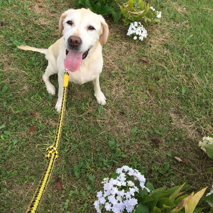 74d6f57b eec2 475a ac4e a214ca777f3f