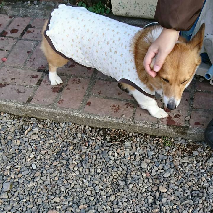 74d74762 2c06 47a0 9c55 c1810f8b941d