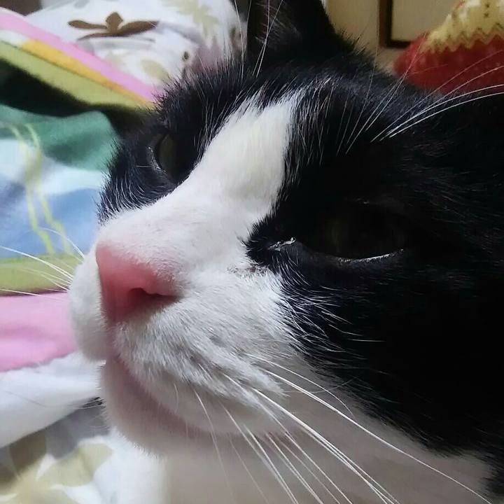 74d80063 6cda 4496 8d87 19a0ddf73602