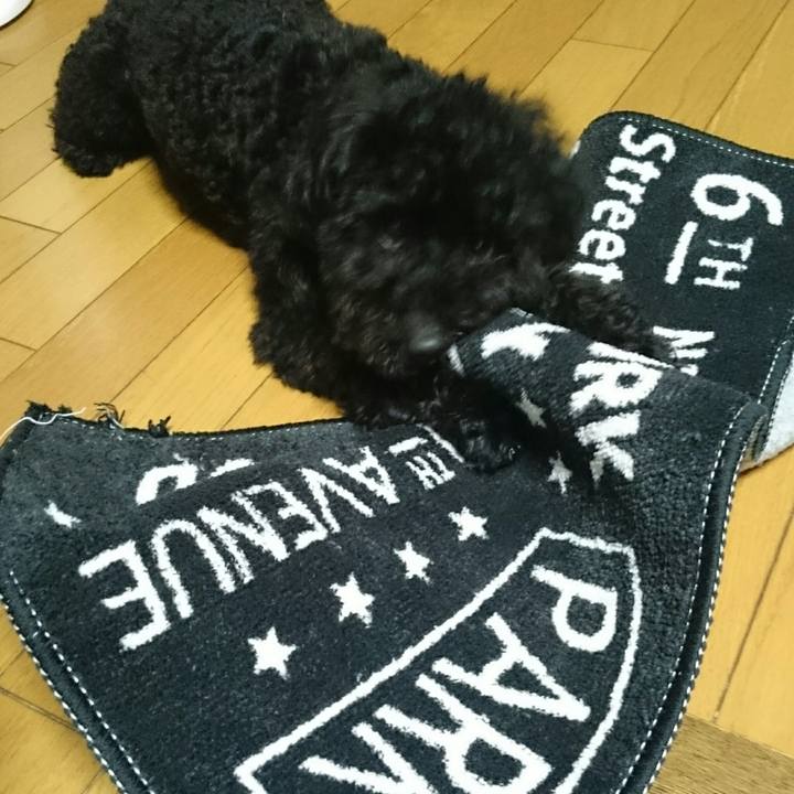 74d81e77 b829 4e50 b72f ed33da3af1de