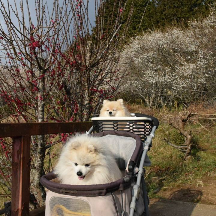 74d96e53 a52a 45d1 ba66 a719ff29043d