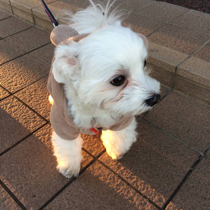 74daac4e 7e2a 4a39 a665 28fe2c745e75