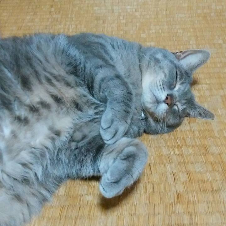 74dacbcd 40a6 40c7 ab57 4cc83ec6f874