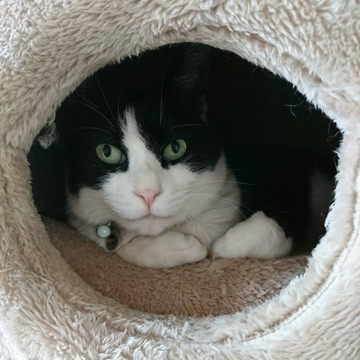 74dafbfe a58a 48ed 933f fbdba659a261