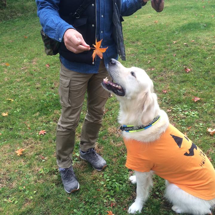 74dc602a 2edd 4684 a0a9 6af6f1442eb6