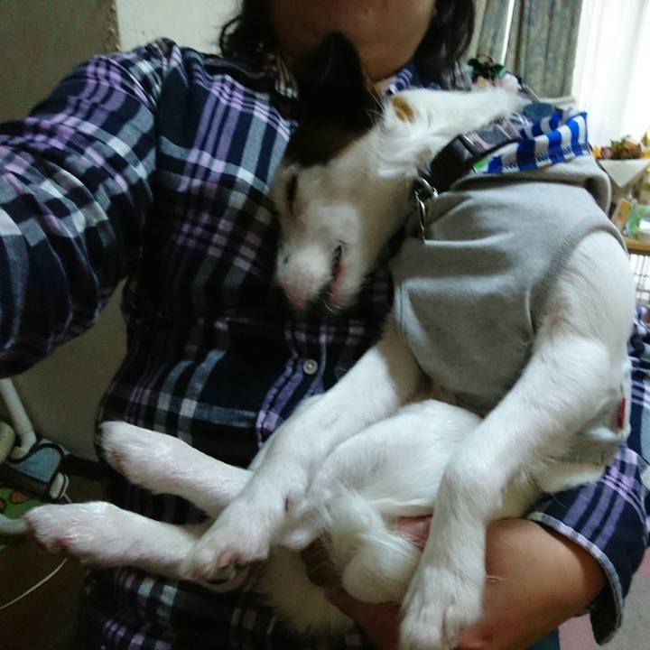 74de094b f7b2 4492 a246 5ceab80aae3a