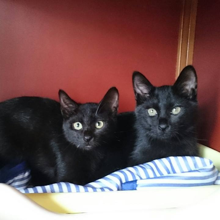 74de841d 5ebc 4ed7 b8cc f4d9820bcc31