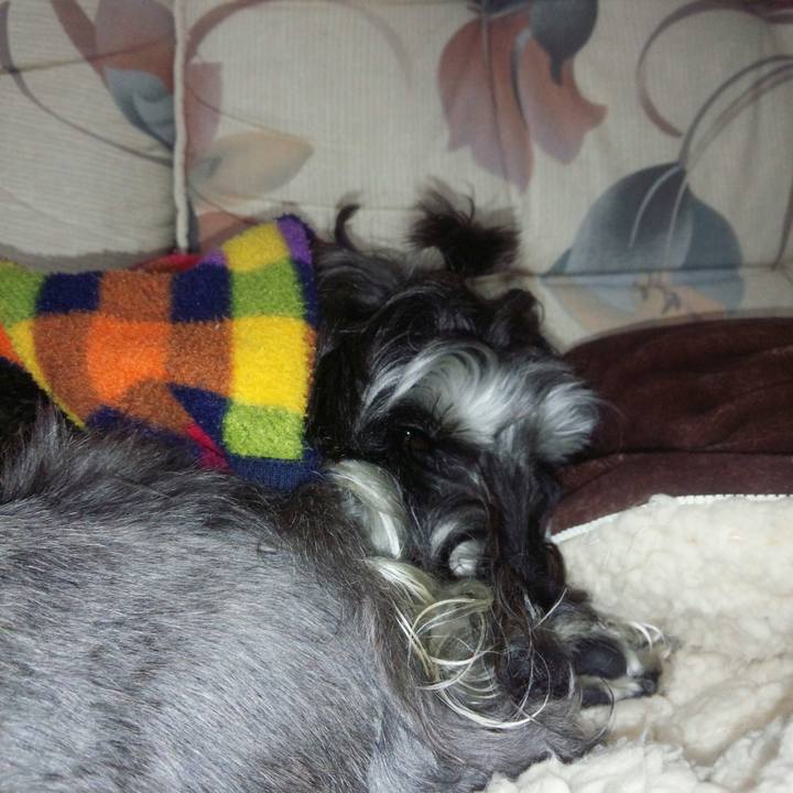 74deb365 c5d9 44ec 9919 3dfe65f3aa90