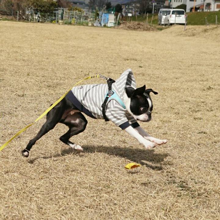 74deff67 0298 4e13 86fb a3f012300fe8