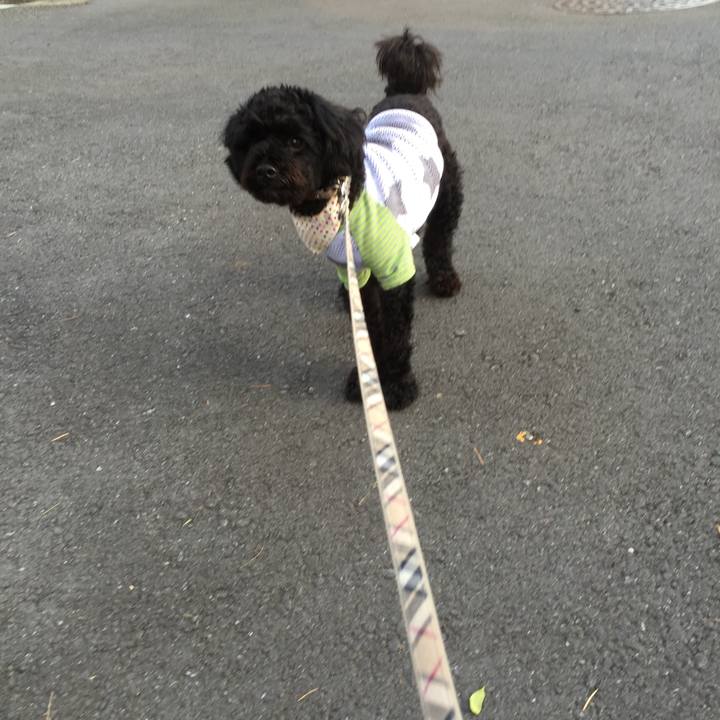 74dfe1d6 4144 472e ab4c 00ba1e2476bd