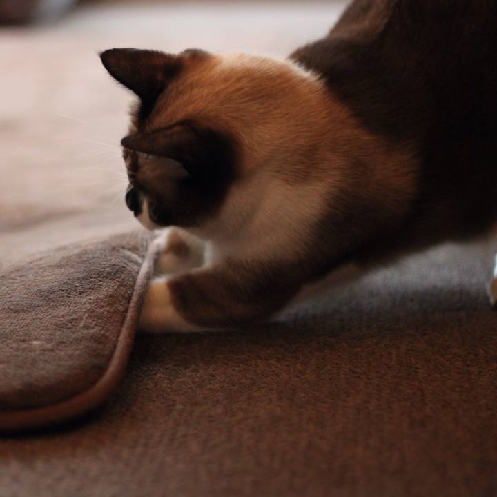 74e0007a c9f0 4978 809a d4a4bbb07c8b