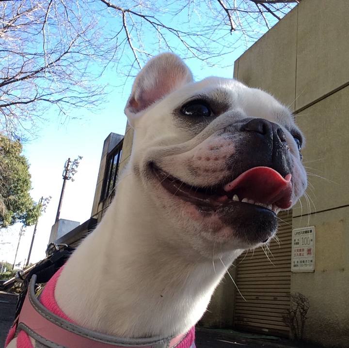 74e04252 16f1 42bf 9c33 37162a0f9846