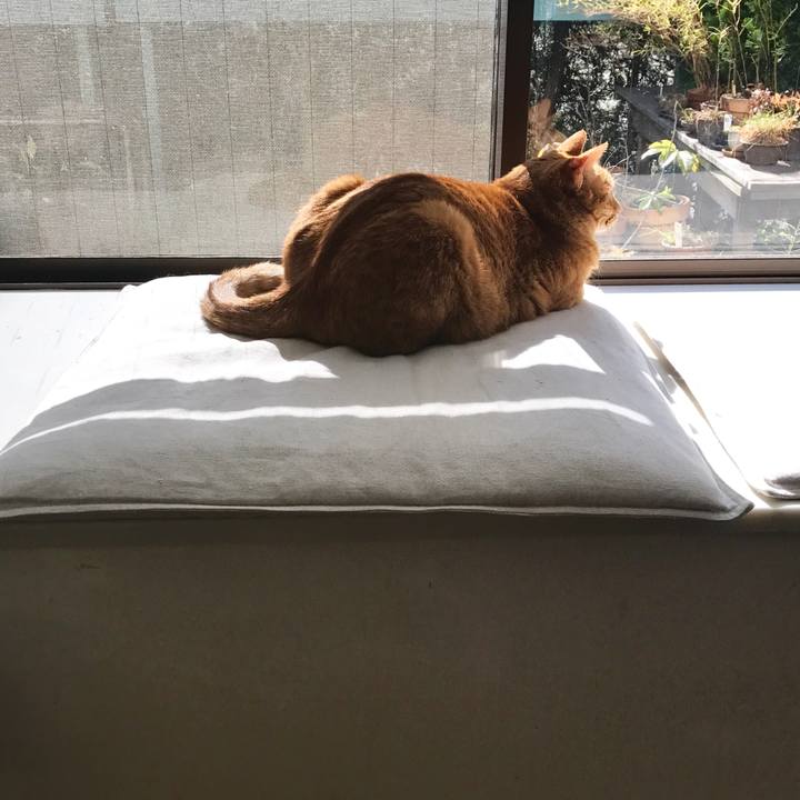 74e15188 f9d0 4362 9385 875dc4db2fc9