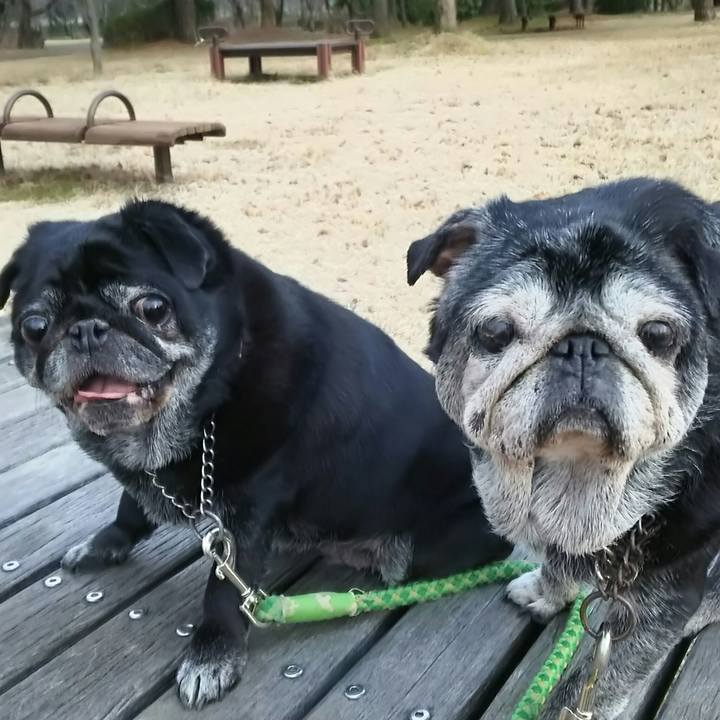 74e1b6a4 6080 4054 aedf 90053604cb86