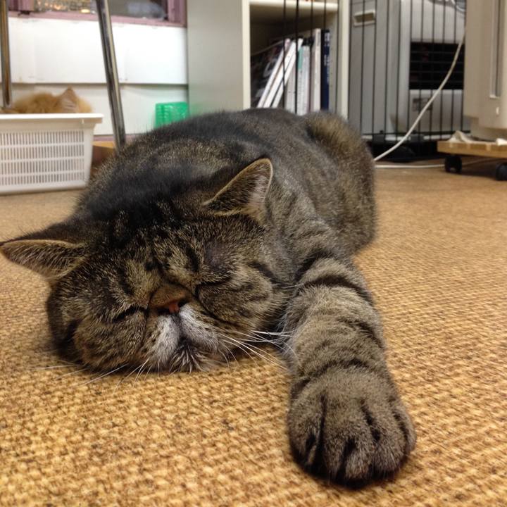 74e2238d a723 433c 8e19 2fbc2194d68a