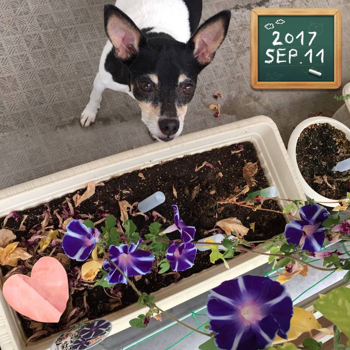 74e2825c e950 4665 af2c 71e9096257dc