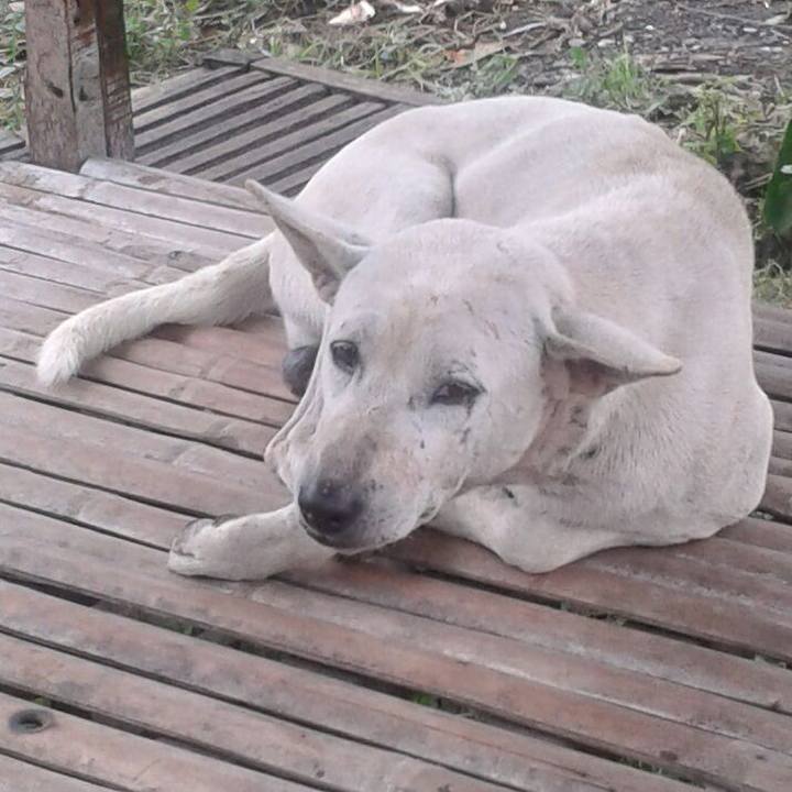 74e2ebc0 b3da 41b6 ad46 93e147453cbd