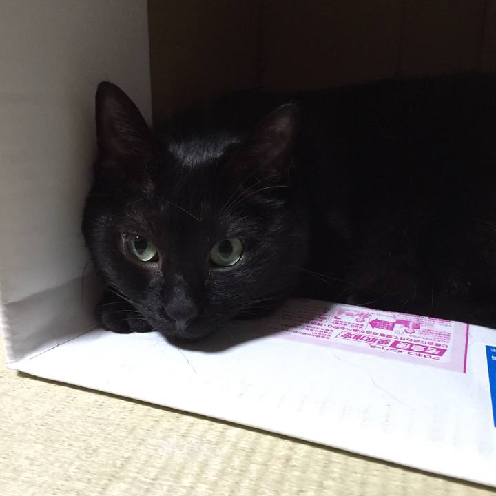 74e2fc4e 48f3 472a add7 39975708f9ce