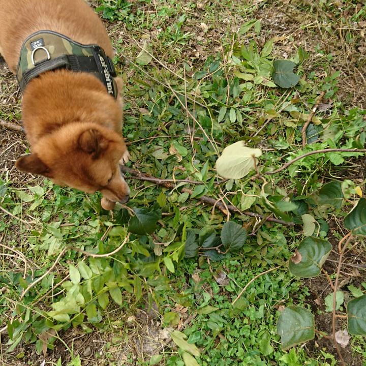 74e360bf e1e1 440b 8363 5ad68e986c09