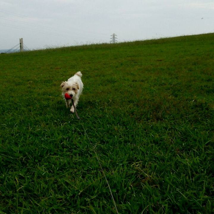 74e393a0 b78a 4925 8d8d bc250ebf636c