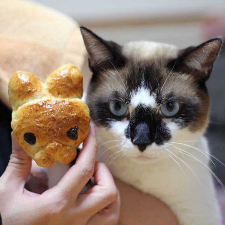 74e39497 1e58 4f33 98d1 246498d78986