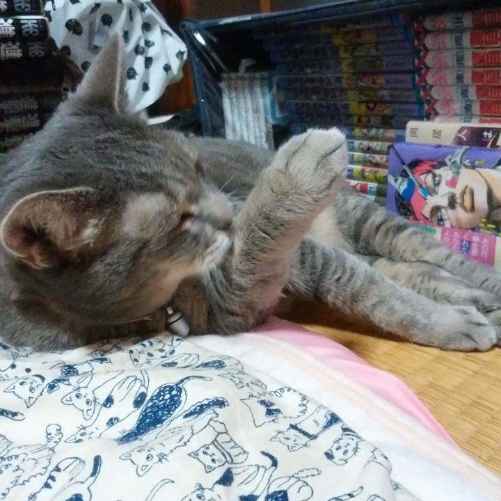 74e3e1df ff86 470a ad9a f907c15c6d94