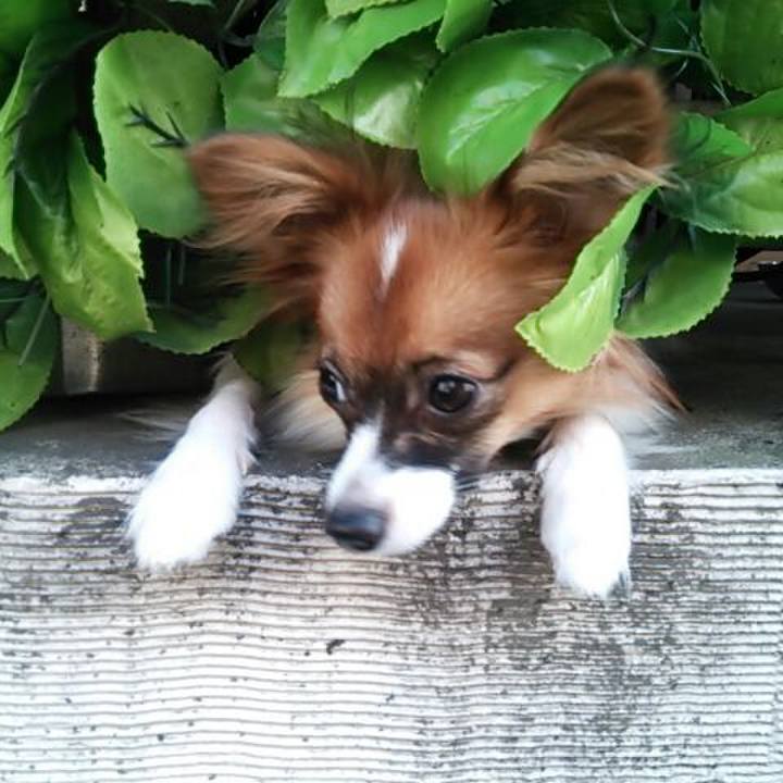 74e46b27 9a15 4ad8 bd52 2f687c14d854