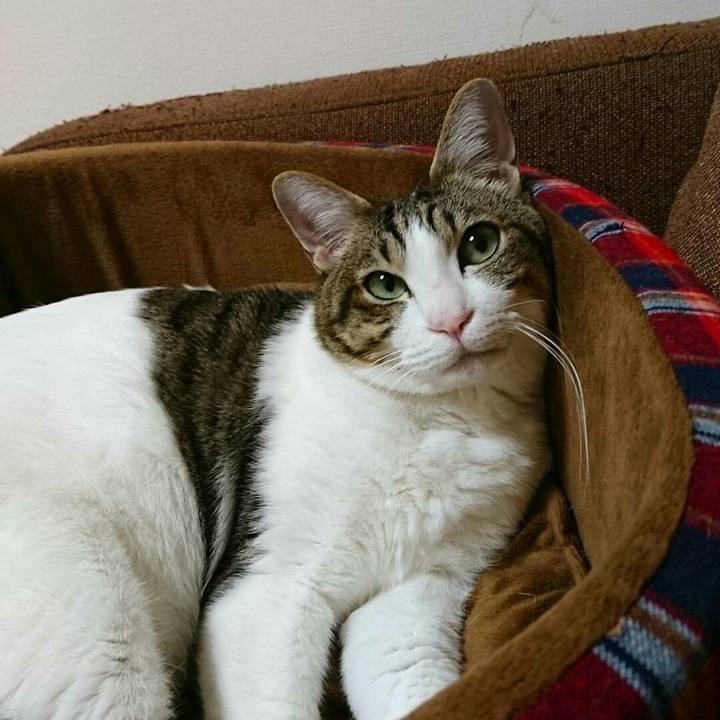 74e4be8b e4f9 4b04 a4d3 d5b868678925