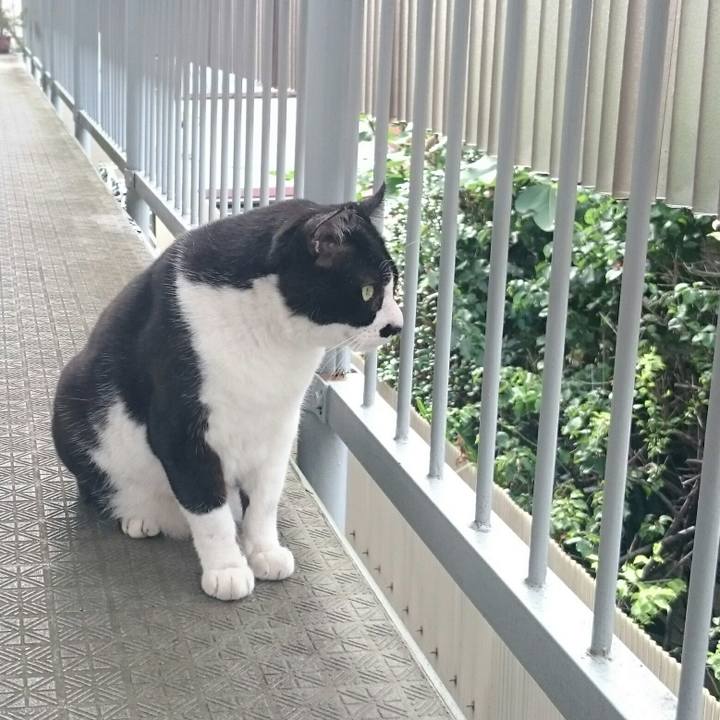 74e4d132 494f 4ca6 930a 442938128c54