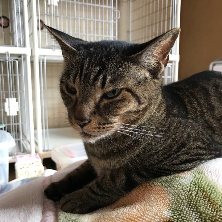 74e54157 7f8b 48b7 a349 edffa196decc