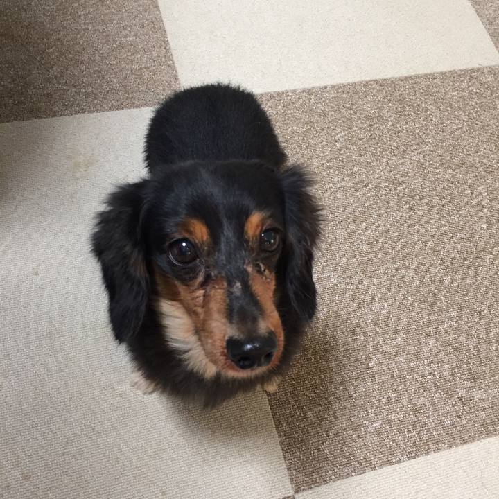 74e5ec8d 35a5 465d 96c6 fce83bfc37e4